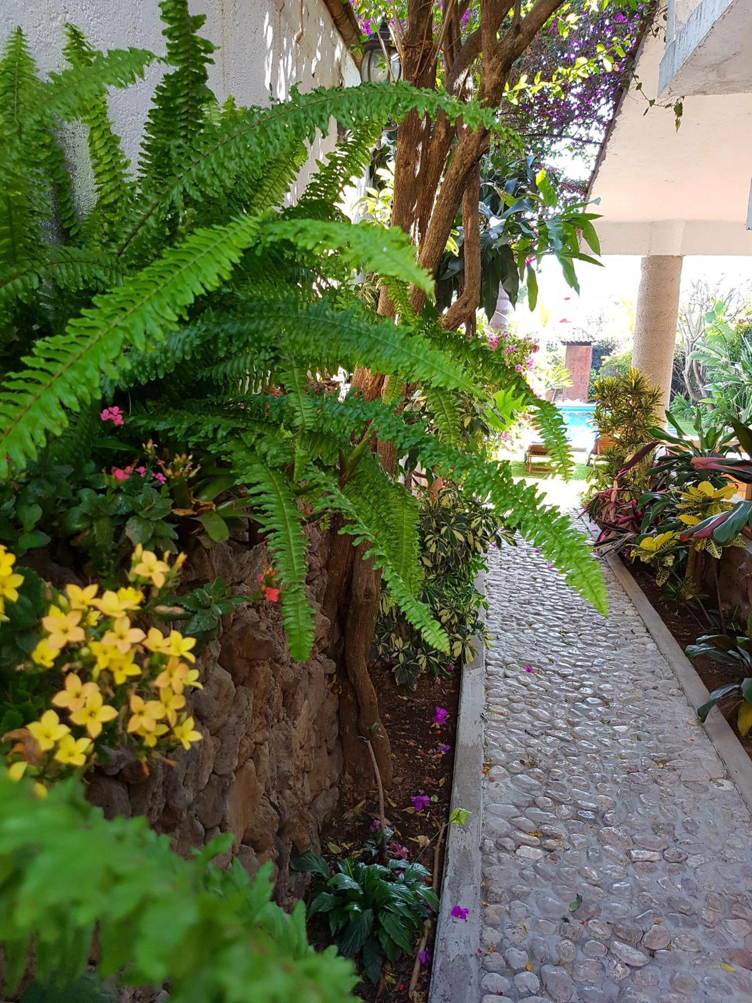 Hotel Quinta Real Las Palmas Malinalco Exterior foto